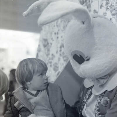 2007-012_d402n_f8