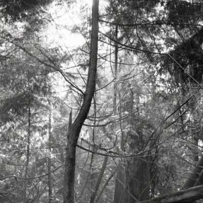 2007-012_a472_f18