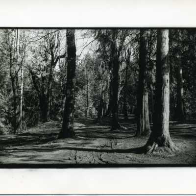 Burfoot Park