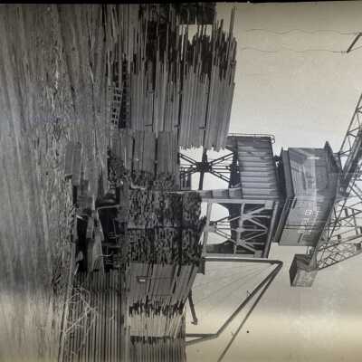 crane