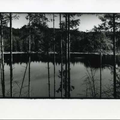 Bass Lake