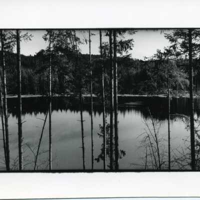Bass Lake