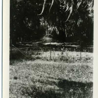 New Orleans: Origformat: Photographic