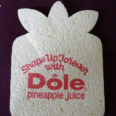 Sponge