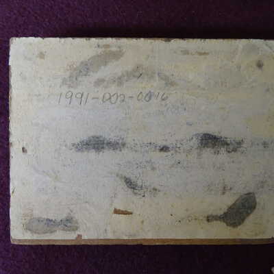 Plate, Printing