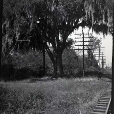 New Orleans: Origformat: Negative; Resolution: 1200 dpi