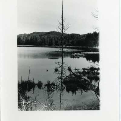 Elbow Lake