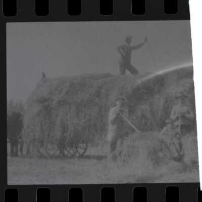 Haying on Fleetwood Farm