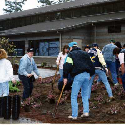 Lacey Timberland Library Volunteers Landscaping, early 1991