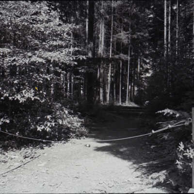 Forests and Brush Burning, 1978