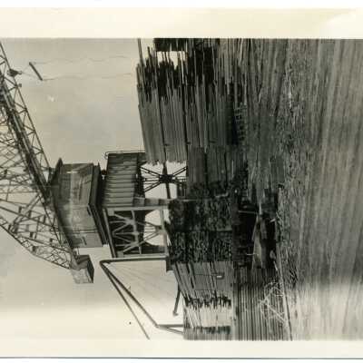 crane