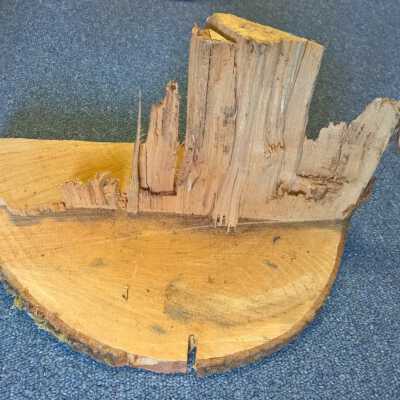 Lumber