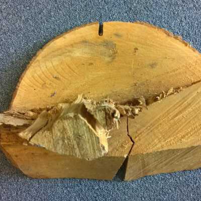 Copyright: Lacey Museum; Origformat: Artifact