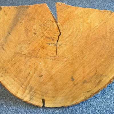 Copyright: Lacey Museum; Origformat: Artifact