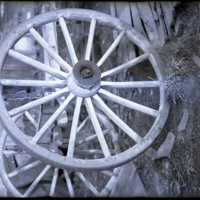 wagon