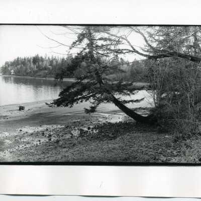 Frye Cove