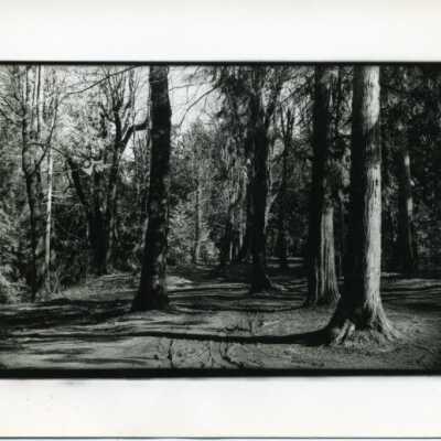 Burfoot: Origformat: Photographic