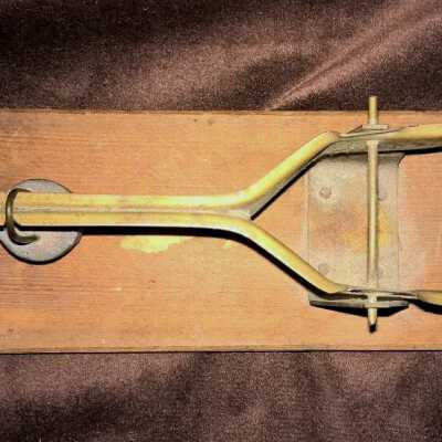 Egg scale, Top view: Copyright: Lacey Museum; Origformat: Artifact