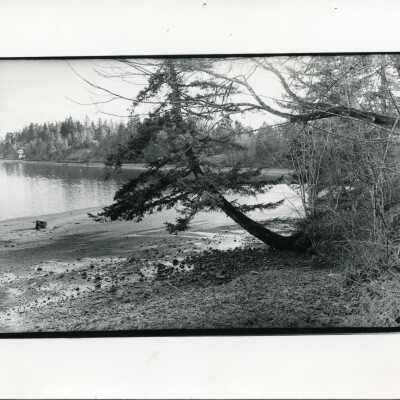 Frye Cove