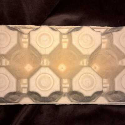 Copyright: Lacey Museum; Origformat: Artifact