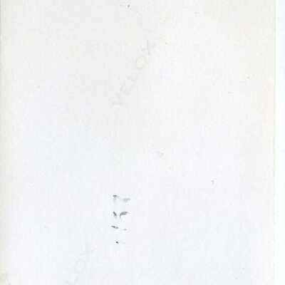 Origformat: Photographic
