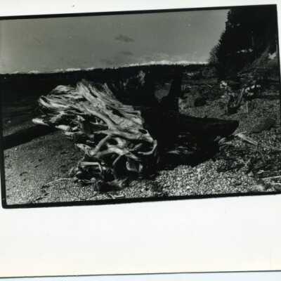 Burfoot: Origformat: Photographic