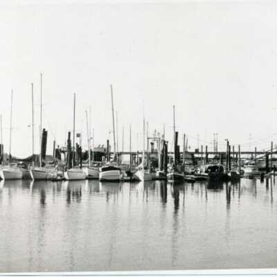 marina: Origformat: Photographic