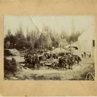 W. W. Fleetwood thrashing machine & crew: Copyright: Public Domain/Property of Lacey Museum; Origsize: 7 x 9; Origformat: Print; Resolution: 600 dpi