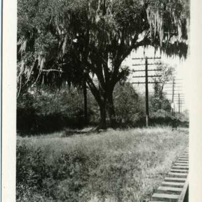 New Orleans: Origformat: Photographic