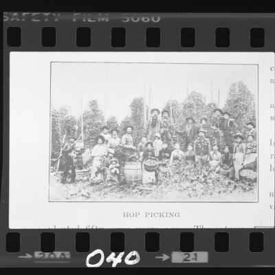 Hop Picking