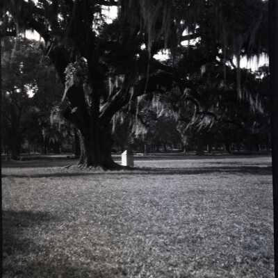 New Orleans