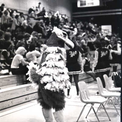 Falcons Mascot: Frame 34