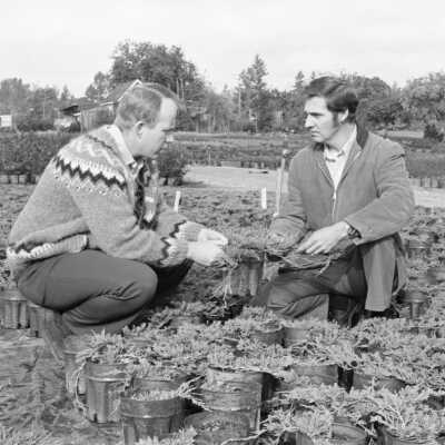 Rotary Project, Dan Baker and Lee Gifford, 1974