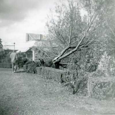 Columbus Day Storm 1962: Copyright: Orphan Work-Rights Holder Not Identifiable; Origformat: Photographic; Resolution: 1200 dpi