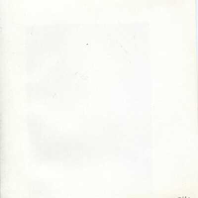 Origformat: Photographic