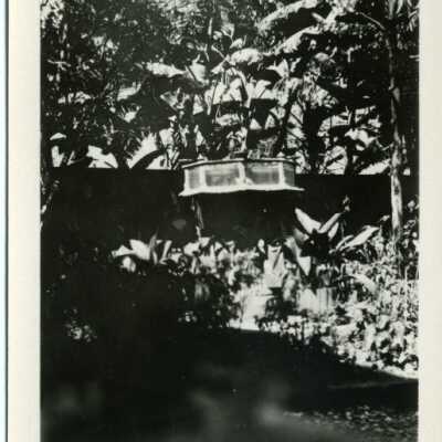 New Orleans: Origformat: Photographic