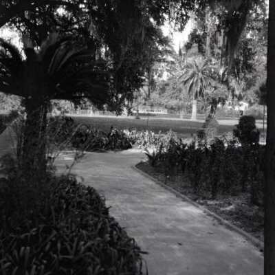 New Orleans: Origformat: Negative; Resolution: 1200 dpi