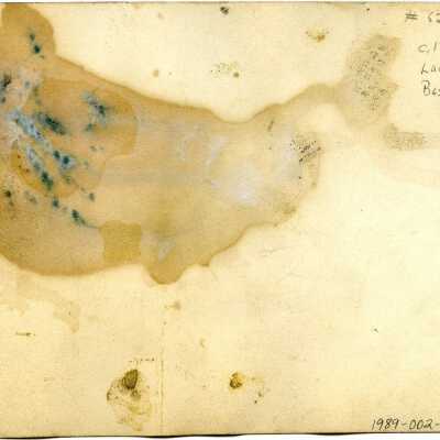 Reverse of 1989-002-0005: Origformat: Photographic; Resolution: 200 dpi