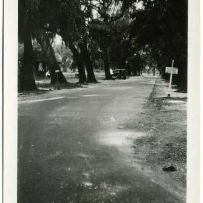 New Orleans: Origformat: Photographic