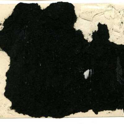 Origformat: Photographic; Resolution: 300 dpi; Negno: 1864
