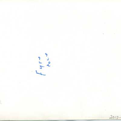Origformat: Photographic