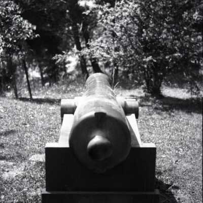 cannon: Origformat: Negative; Resolution: 1200 dpi
