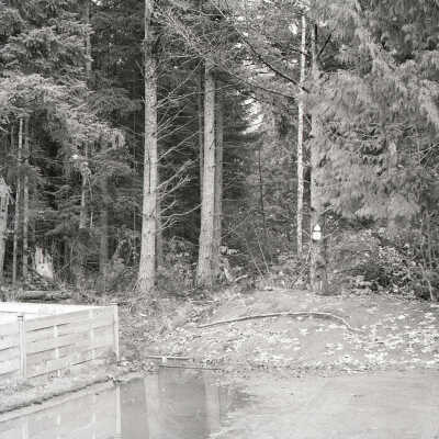 Wonderwood Park Addition (20 Acres)