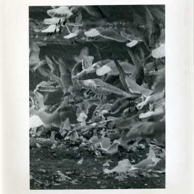 Landfill