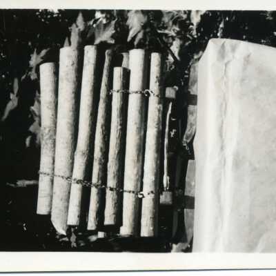 log model