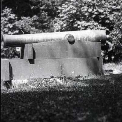 cannon: Origformat: Negative; Resolution: 1200 dpi