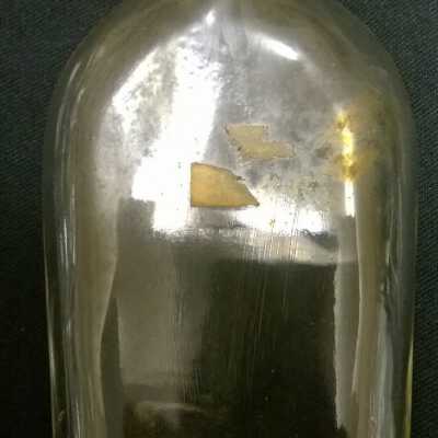 Bottle: Copyright: Lacey Museum; Origformat: Artifact