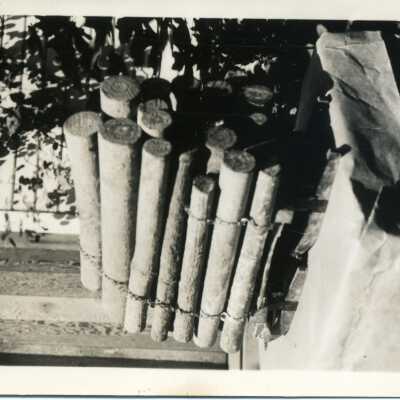 log model