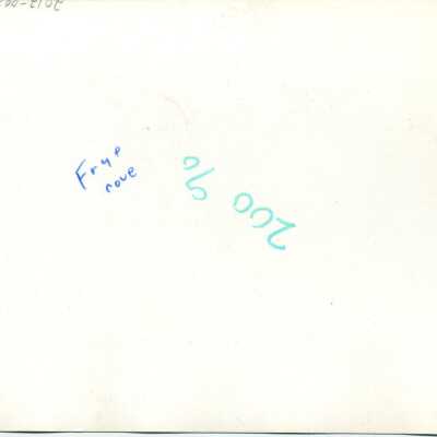 Origformat: Photographic