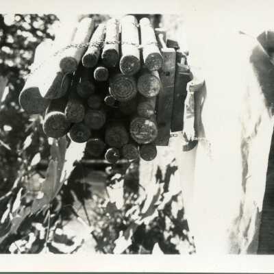 log model